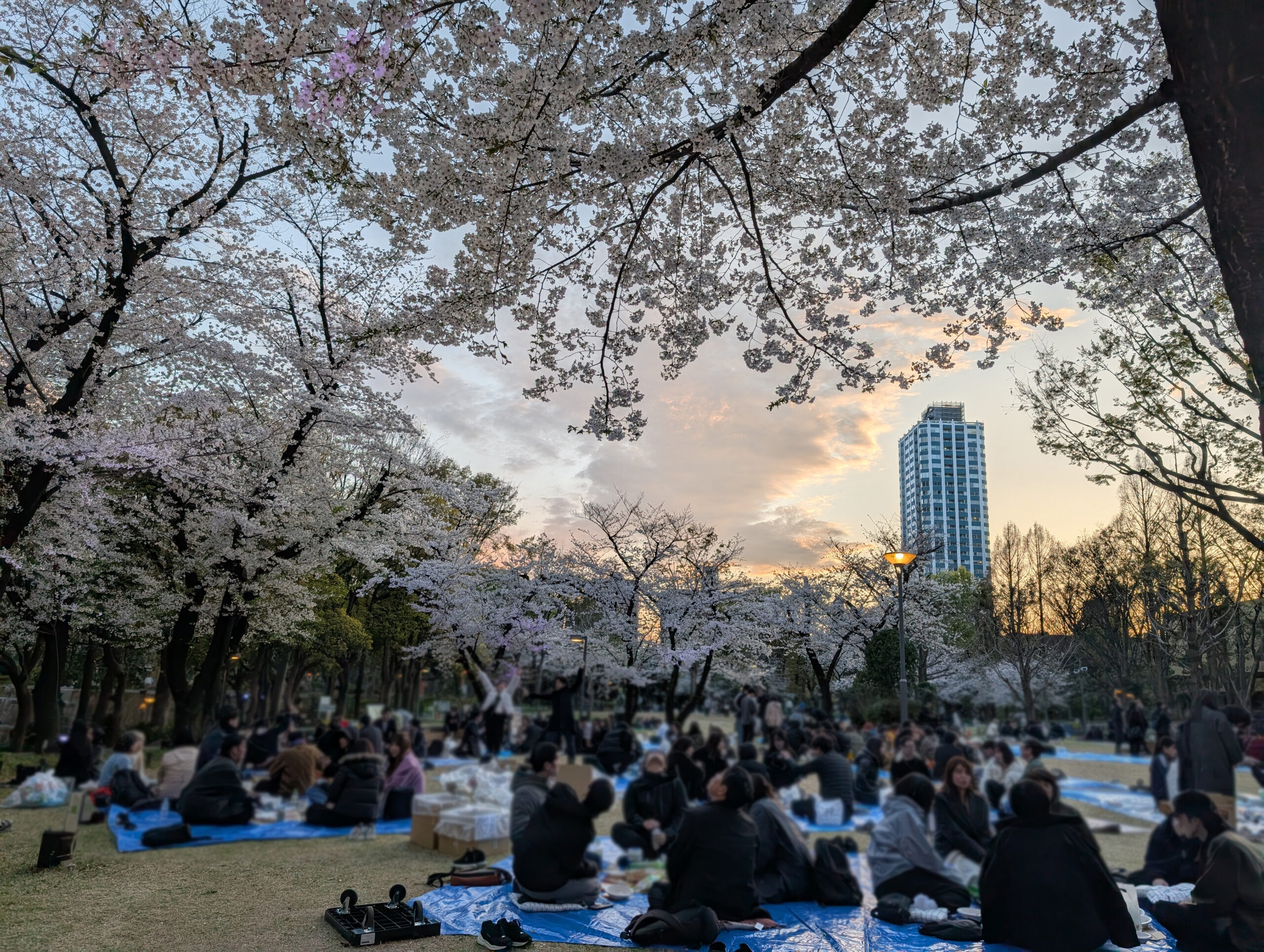 スライド画像